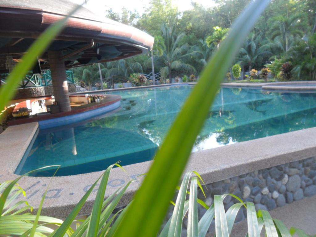 Aqua-Landia Resort Dauin Zewnętrze zdjęcie