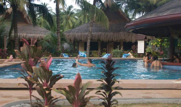 Aqua-Landia Resort Dauin Zewnętrze zdjęcie